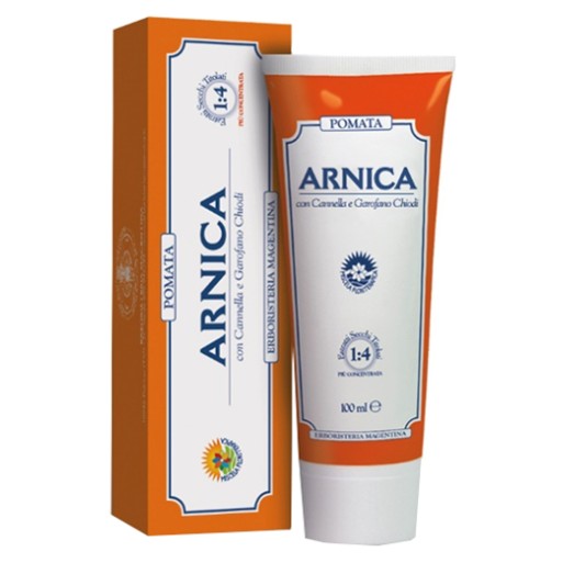 ARNICA FORTE POMATA 100ML