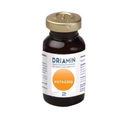 DRIAMIN POTASSIO 15ml