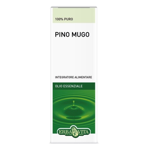 PINO MUGO Olio Ess.10ml EBV