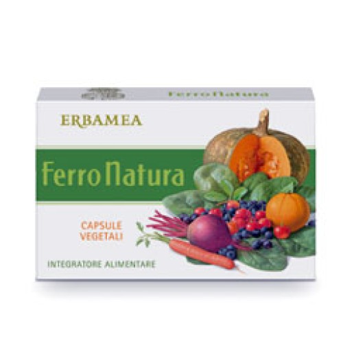 FERRONATURA 24 Cps 530mg EBM