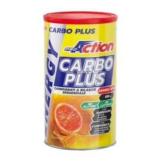 CARBO PLUS 530g