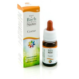 BACHFLOWERS 13 Gorse 10ml