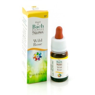 BACHFLOWERS 37 Wild Rose 10ml