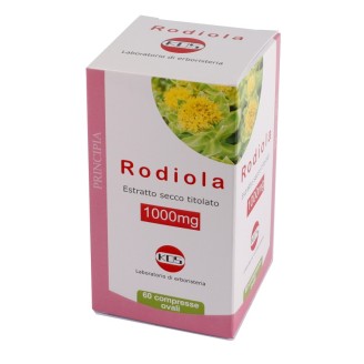 RODIOLA 1000mg 60 Cpr KOS