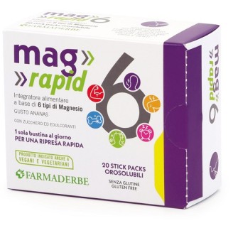 MAG*6 Rapid 20 Bust.