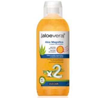 ALOEVERA2 Aloe Magnifica1LtZCR