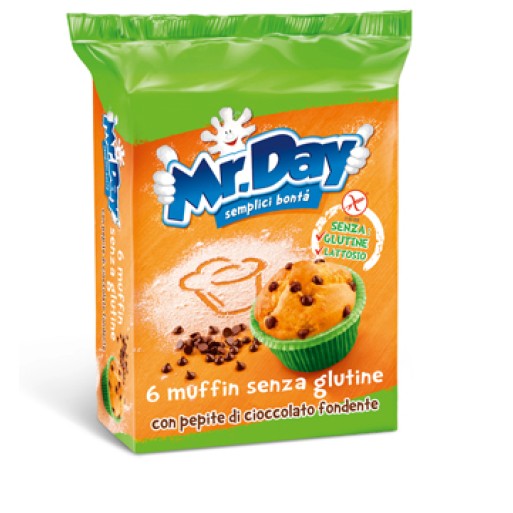 MR DAY Muffin Ciocc.6x42g