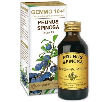 PRUGNOLO Analc.Gemmo10+ 100ml