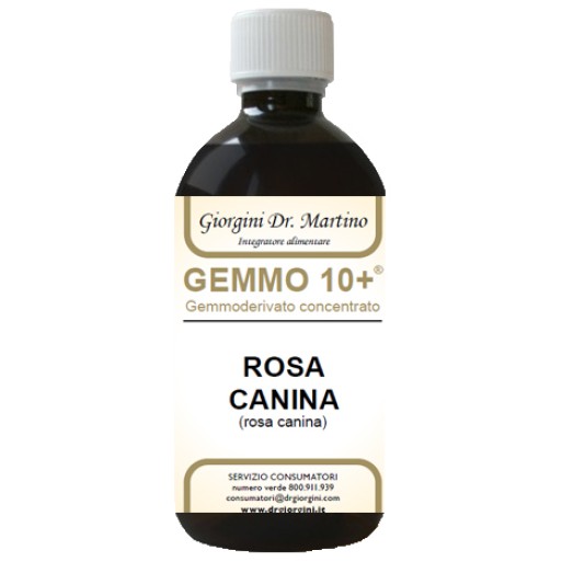 ROSA CANINA Anal.Gemmo10+500ml