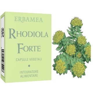 RHODIOLA Forte 24 Cps EBM