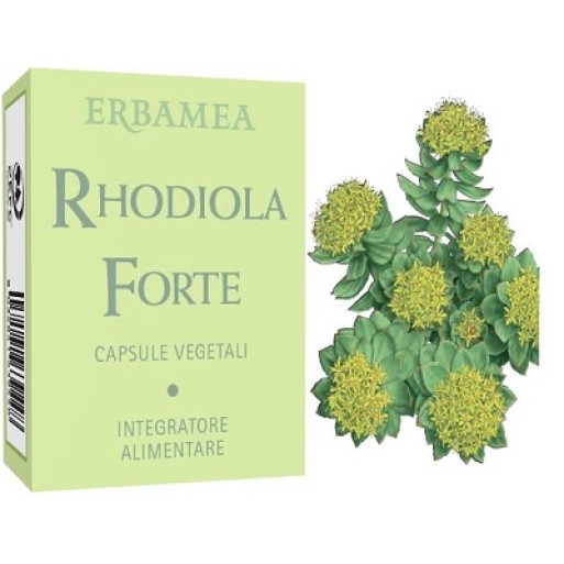 RHODIOLA Forte 24 Cps EBM