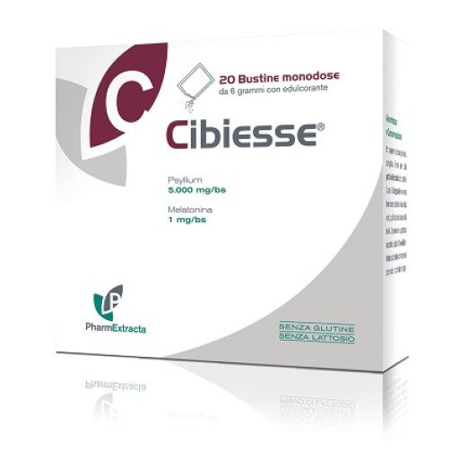 CIBIESSE 20 Bust.