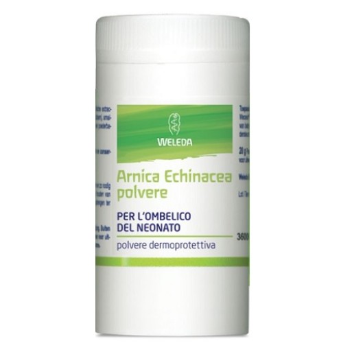 ARNICA ECHINACEA POLVERE 20G