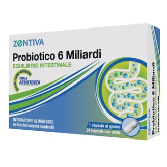 PROBIOTICO 6MLD 24 Cps ZTV