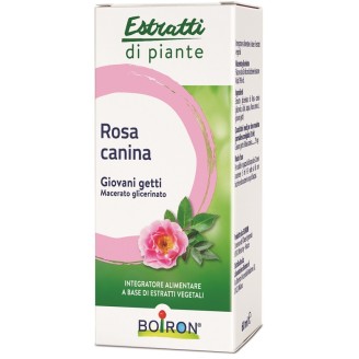 BO.ROSA CANINA MG I 60ml