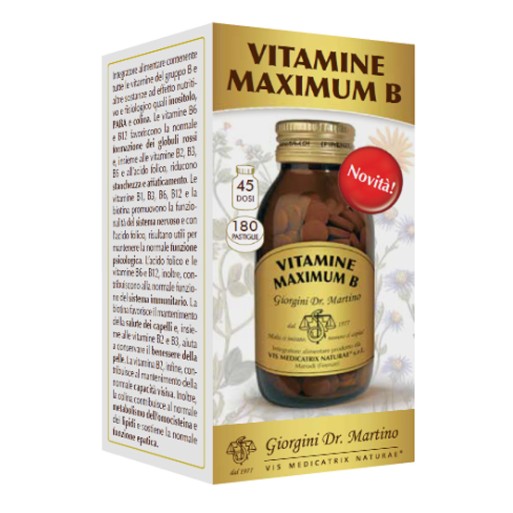 VITAMINE Max B 180 Past.SVS