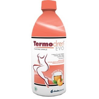 TERMODREN EVO TE' PESCA 500ML