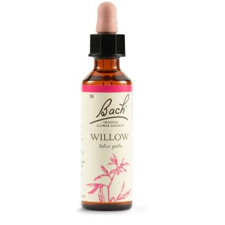 WILLOW BACH ORIG 38 20ml