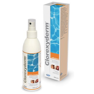 CLOREXYDERM Soluz 200ml