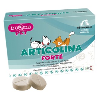 ARTICOLINA Forte 60 Cpr