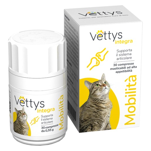 VETTYS Integra Mobilita'Gatto