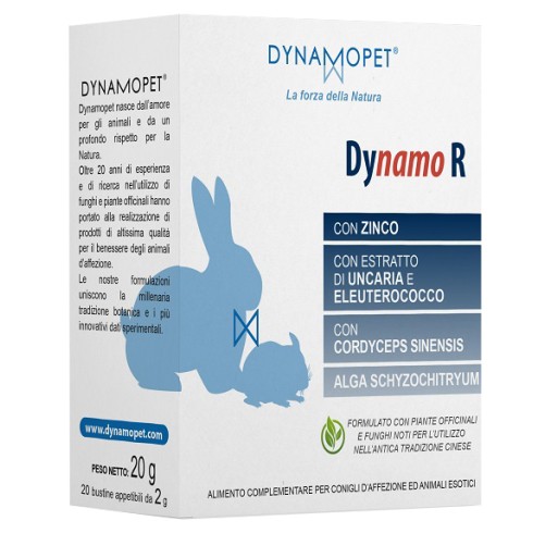 DYNAMO R 20 Bust.2g