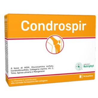 CONDROSPIR 14 Bust.