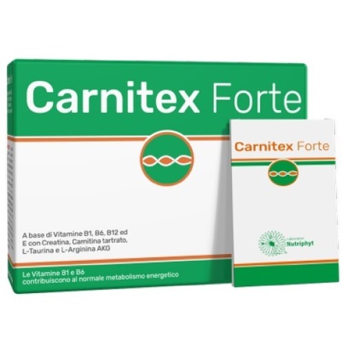 CARNITEX Forte 14 Bust.