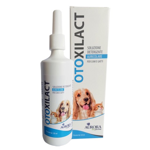 OTOXILACT Det.Auric.120ml