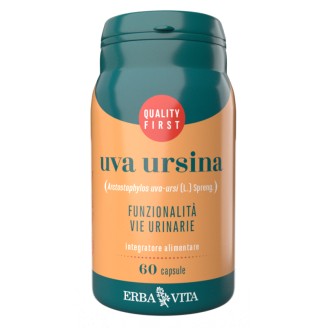 UVA URSINA  60 Cps 500mg   EBV