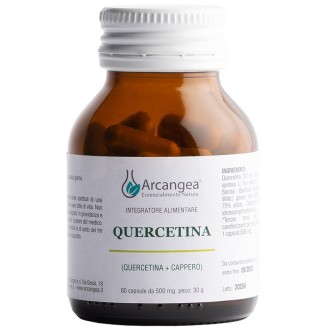 QUERCETINA 60CPS 500MG