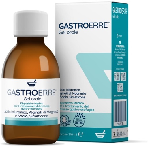 GASTROERRE 210ml