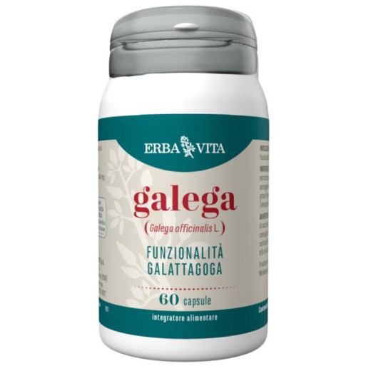 GALEGA 60 Cps 450mg        EBV