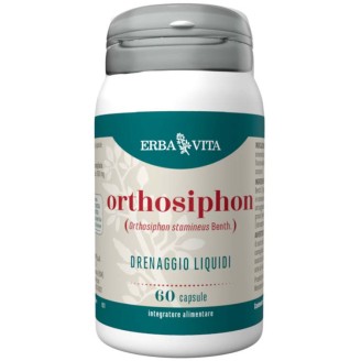 ORTHOSIPHON 60 Cps 450mg   EBV