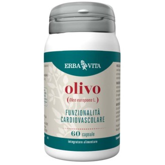 OLIVO 60 Cps 450mg         EBV