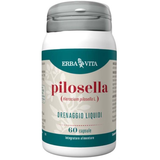 PILOSELLA 60 Cps 350mg     EBV