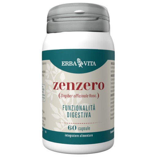 ZENZERO 60 Cps 500mg       EBV