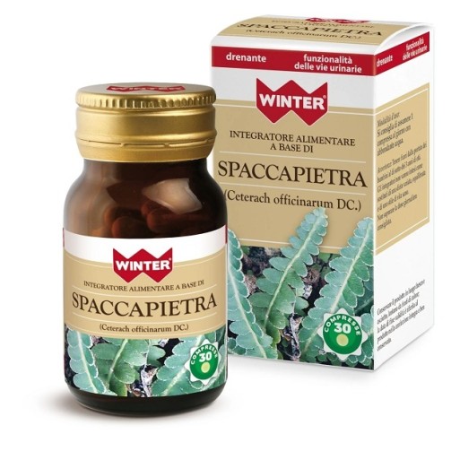 WINTER Spaccapietra 30 Cpr