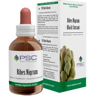 PSC RIBES NIGRUM Gtt 15ml FVT