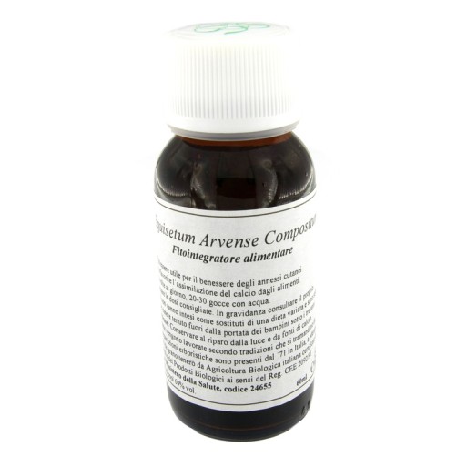 LVS 41N Equisetum Arv.Comp.