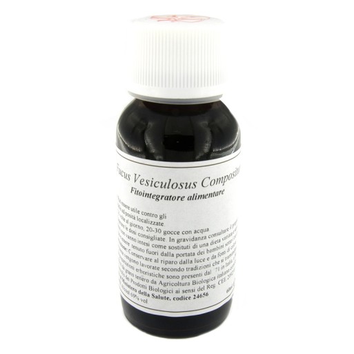 LVS 42S Fucus Vesic.Comp.60ml