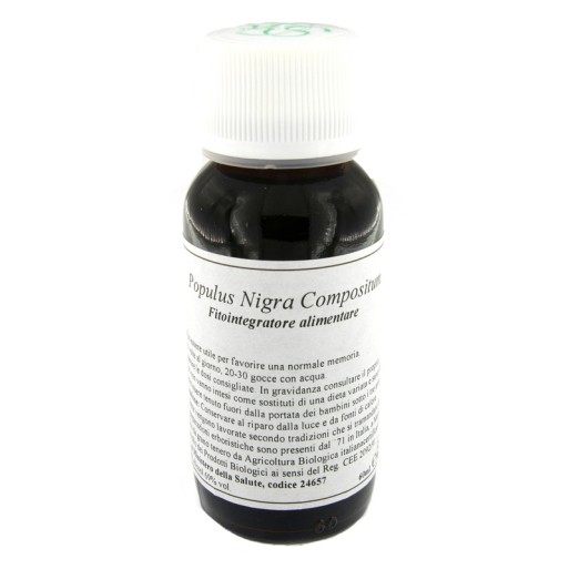 LVS 43N Populus Nigra Comp.