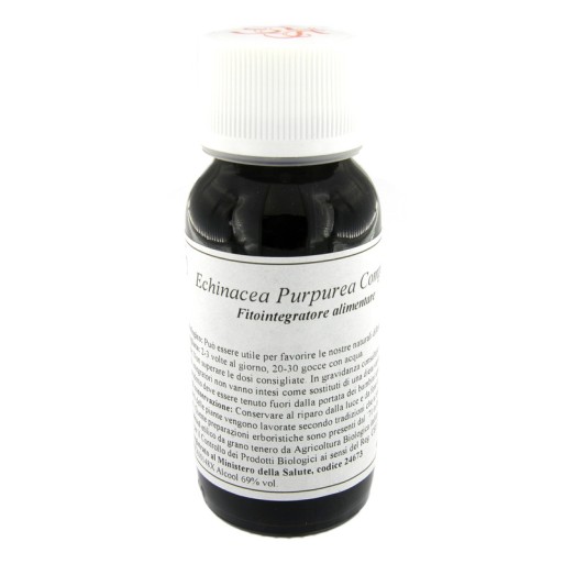 LVS 67S Echinacea Purp.Comp.