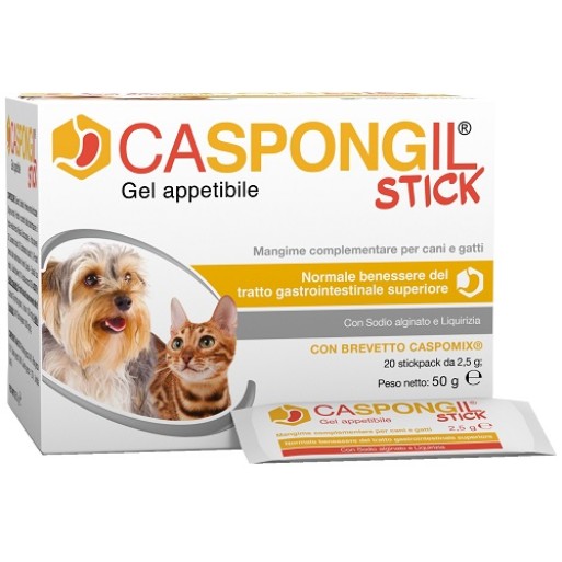CASPONGIL STICK 20Stick Pack