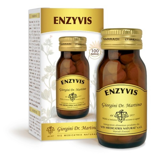 ENZYVIS 100 Past.500mg