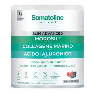 SOMAT Slim Advanced Polv.275g