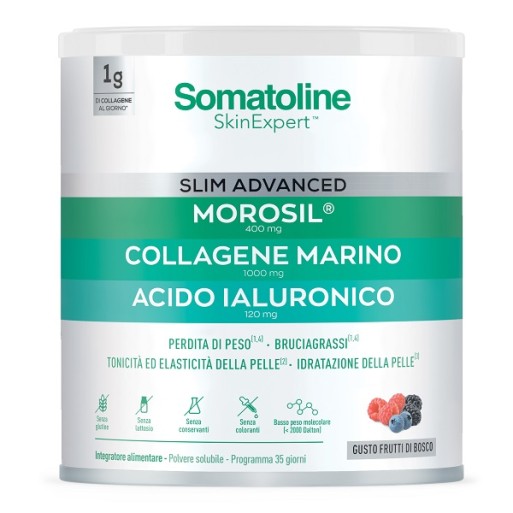 SOMAT Slim Advanced Polv.275g