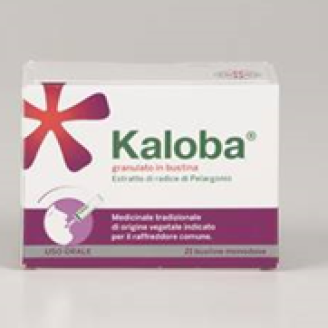 KALOBA 21 Bust.800mg