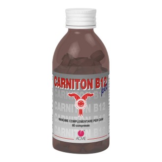 CARNITON B12 Pet 80 Cpr x Cani