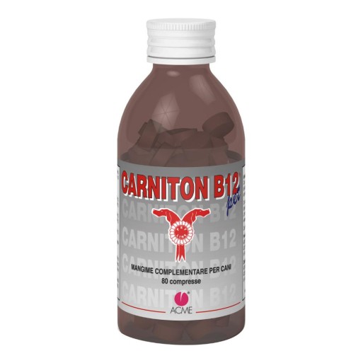 CARNITON B12 Pet 80 Cpr x Cani